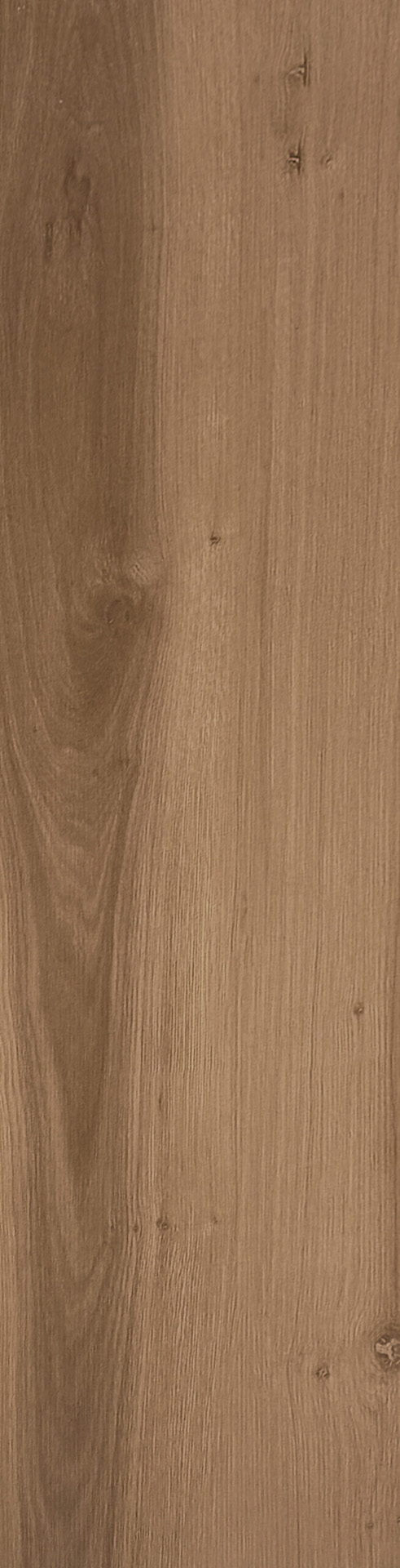 VELVET OLMO